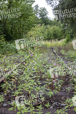 Symbolfoto stillgelegte Bahntrasse