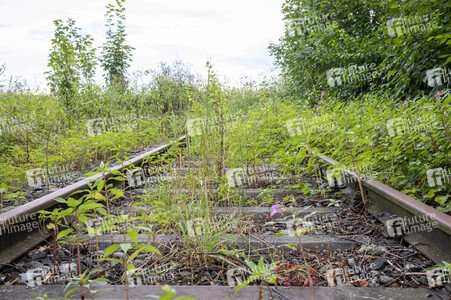Symbolfoto stillgelegte Bahntrasse
