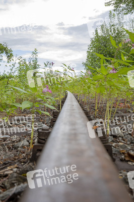 Symbolfoto stillgelegte Bahntrasse