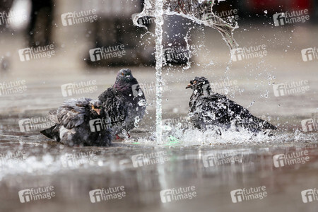 Symbolfoto Hitzewelle