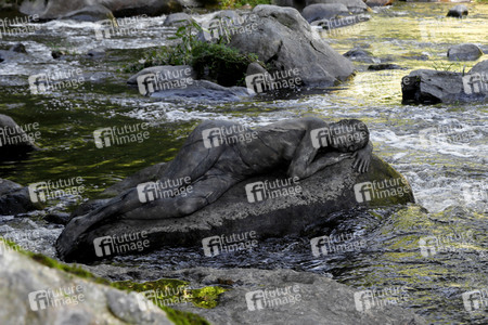 NATURE ART: Stein im Fluss / Stone in a River Bodypainting