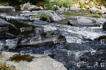 NATURE ART: Stein im Fluss / Stone in a River Bodypainting