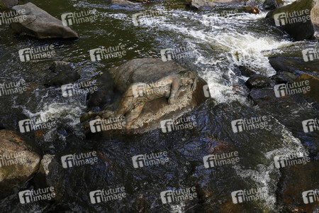 NATURE ART: Stein im Fluss / Stone in a River Bodypainting