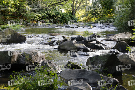 NATURE ART: Stein im Fluss / Stone in a River Bodypainting