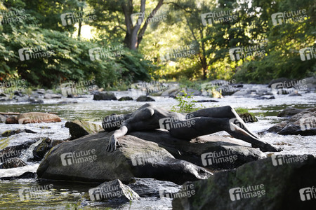 NATURE ART: Stein im Fluss / Stone in a River Bodypainting