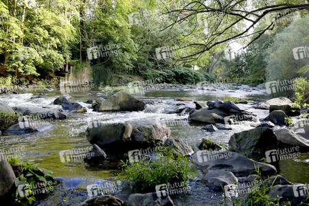 NATURE ART: Stein im Fluss / Stone in a River Bodypainting
