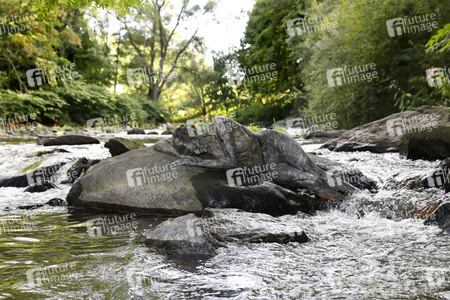 NATURE ART: Stein im Fluss / Stone in a River Bodypainting