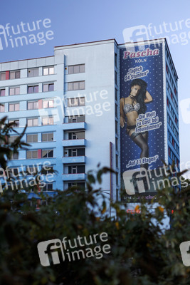 Symbolfoto Rotlichtviertel