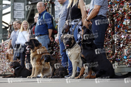 Symbolfoto Hundeschule