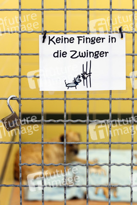 Symbolfoto Tierheim