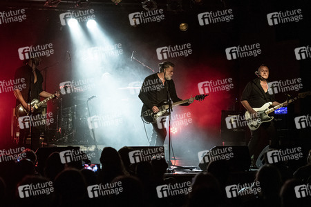 Konzert von Falkenberg & Die Band in Dresden