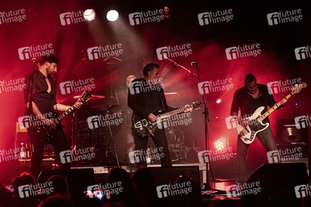 Konzert von Falkenberg & Die Band in Dresden