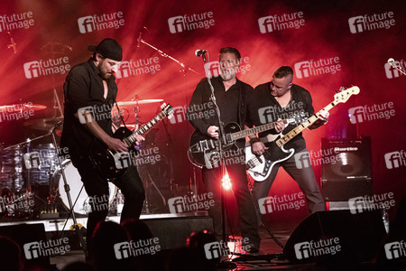 Konzert von Falkenberg & Die Band in Dresden