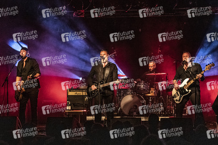 Konzert von Falkenberg & Die Band in Dresden