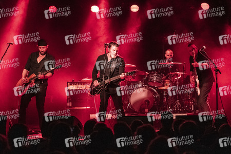 Konzert von Falkenberg & Die Band in Dresden