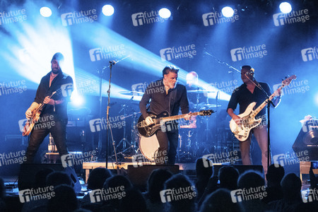 Konzert von Falkenberg & Die Band in Dresden