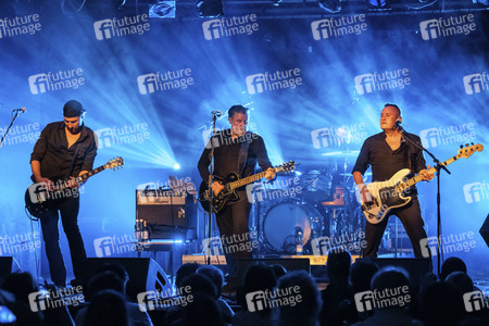 Konzert von Falkenberg & Die Band in Dresden