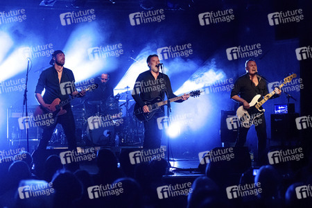 Konzert von Falkenberg & Die Band in Dresden