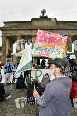 Globaler Klimastreik von Fridays for Future in Berlin