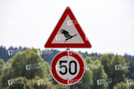 Verkehehrszeichen 'Vorsicht Storch' in Überlingen