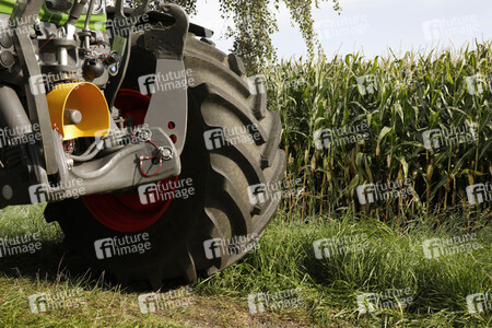 AGRAR ART: Maisfeld / Cornfield Bodypainting