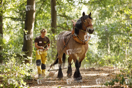 Deutsche Meisterschaft der Pferderücker in Erftstadt