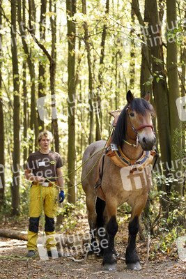 Deutsche Meisterschaft der Pferderücker in Erftstadt