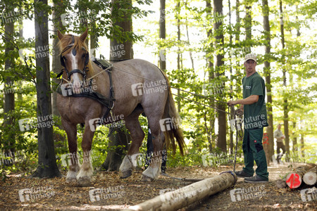 Deutsche Meisterschaft der Pferderücker in Erftstadt