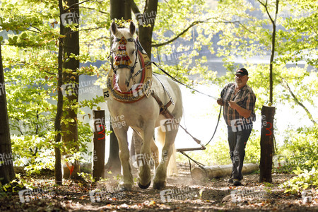 Deutsche Meisterschaft der Pferderücker in Erftstadt
