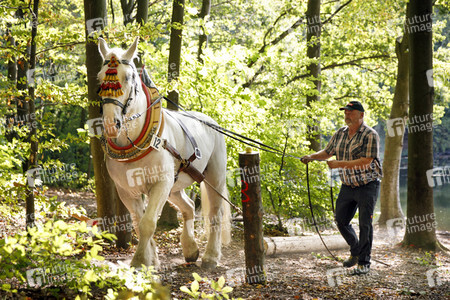 Deutsche Meisterschaft der Pferderücker in Erftstadt