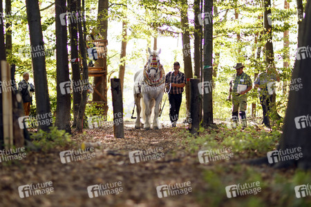 Deutsche Meisterschaft der Pferderücker in Erftstadt