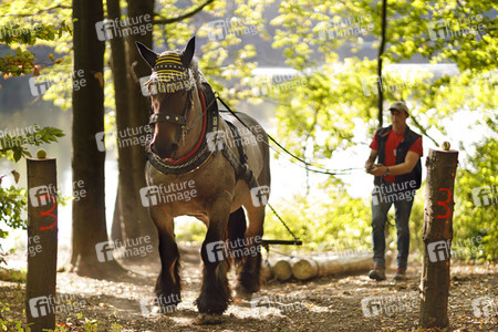 Deutsche Meisterschaft der Pferderücker in Erftstadt