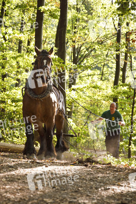 Deutsche Meisterschaft der Pferderücker in Erftstadt