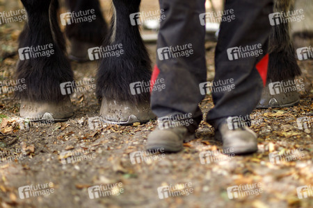 Deutsche Meisterschaft der Pferderücker in Erftstadt