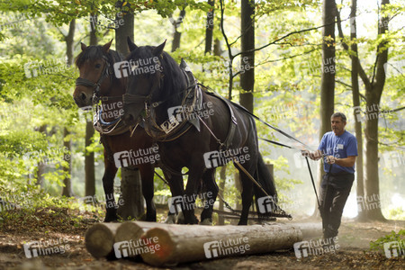 Deutsche Meisterschaft der Pferderücker in Erftstadt