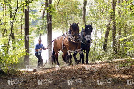 Deutsche Meisterschaft der Pferderücker in Erftstadt