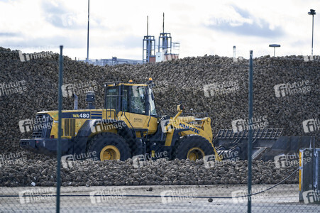 Nordzucker AG Zuckerfabrik in Nordstemmen