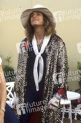 Monsters of Rock Festival 1984 in Donington