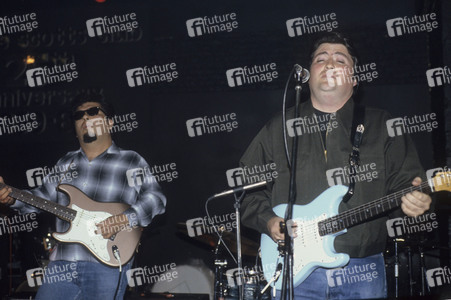 Konzert von Los Lobos in London