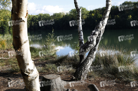 NATURE ART: Birken / Birch Trees Bodypainting