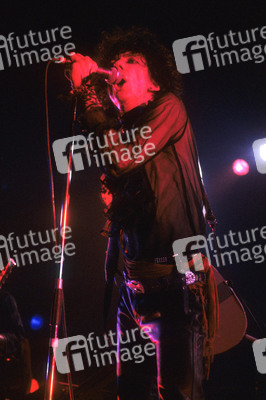 Konzert von The Lords of the New Church in London