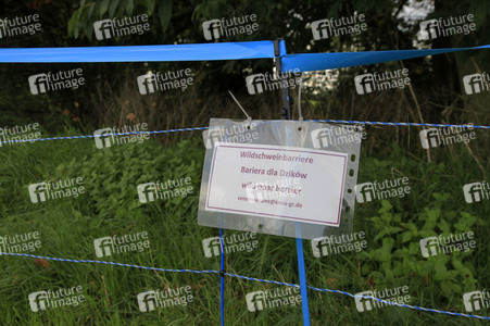 Wildschweinbarriere bei Görlitz