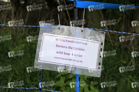 Wildschweinbarriere bei Görlitz
