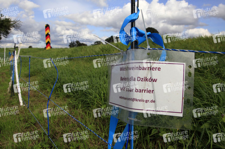 Wildschweinbarriere bei Görlitz