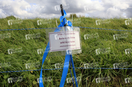 Wildschweinbarriere bei Görlitz