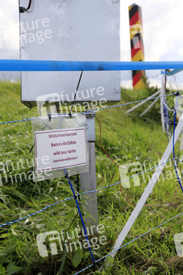 Wildschweinbarriere bei Görlitz