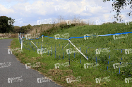 Wildschweinbarriere bei Görlitz