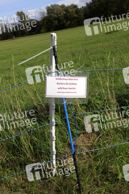 Wildschweinbarriere bei Görlitz