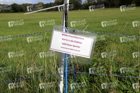 Wildschweinbarriere bei Görlitz