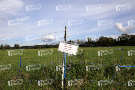 Wildschweinbarriere bei Görlitz